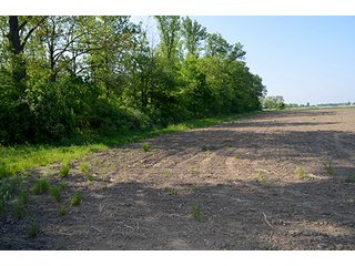 Property photo 34 - LAND AUCTION - 215+/- ACRES OFFERED IN 6 TRACTS IN VAN WERT COUNTY, OHIO